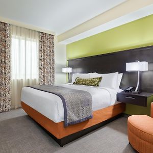 Studio con letto queen size
